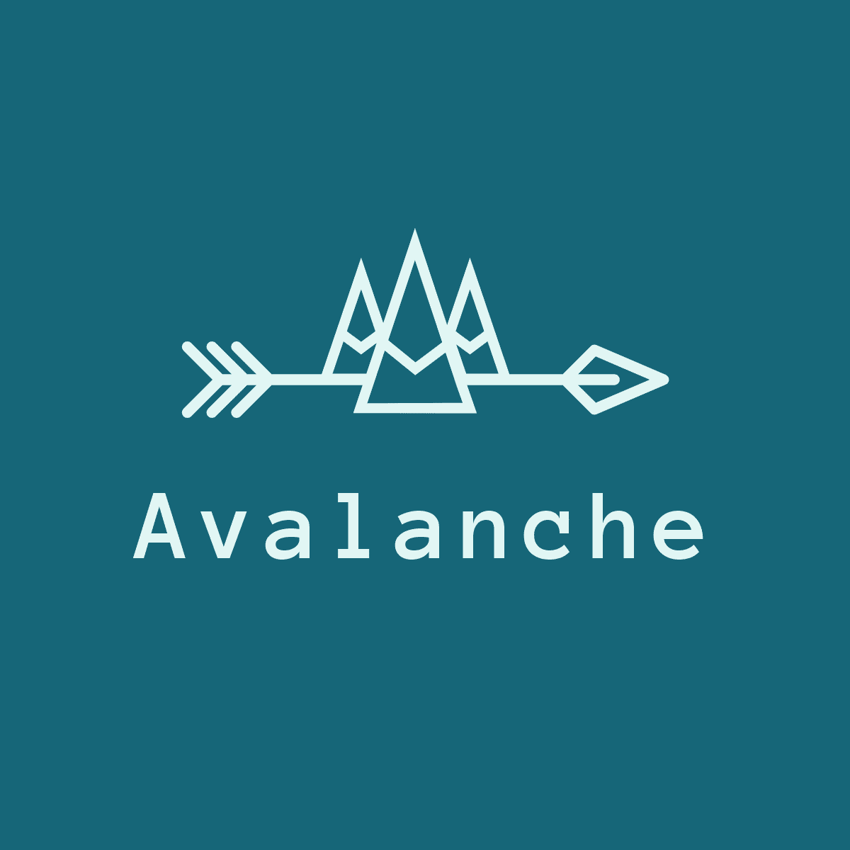 Avalanche Clothing and Accessories 